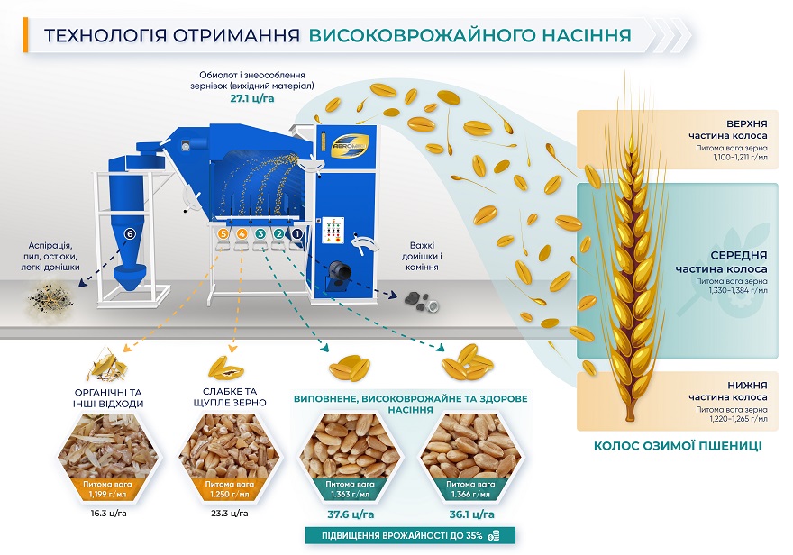 технологія отримання високоврожайного насіння